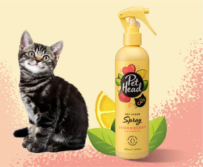 Product shot of the Pet Head Sensitive Soul Spray next to a happy dog