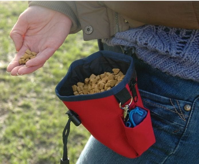 Company of Animals Treat Bag full of Coachies