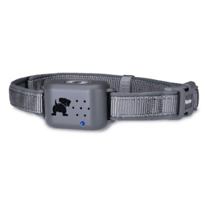 product image of the Pavlov No Bark Collar
