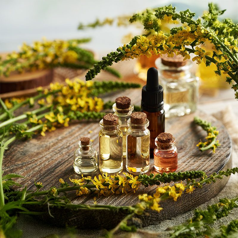 Vitaminkomplex B3, B5, B6 und E