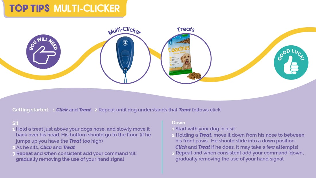 Top tips for using the Company of Animals Multi Clicker