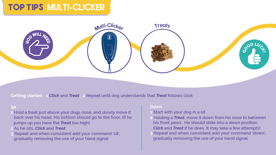 Top tips for using the Company of Animals Multi Clicker