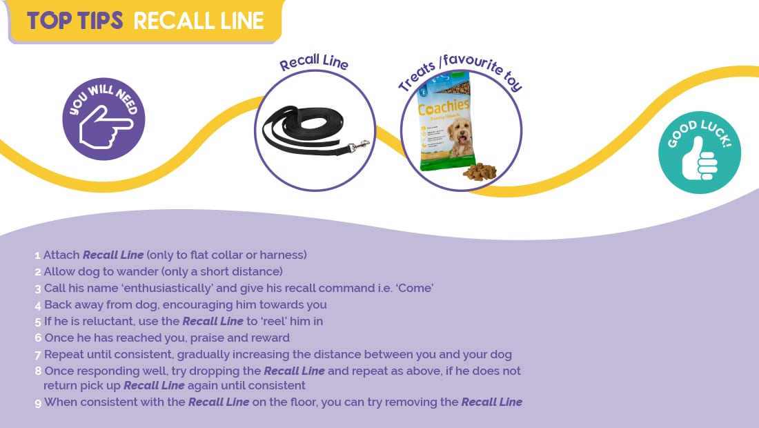 Top Tips for using the Company of Animals Recall Line