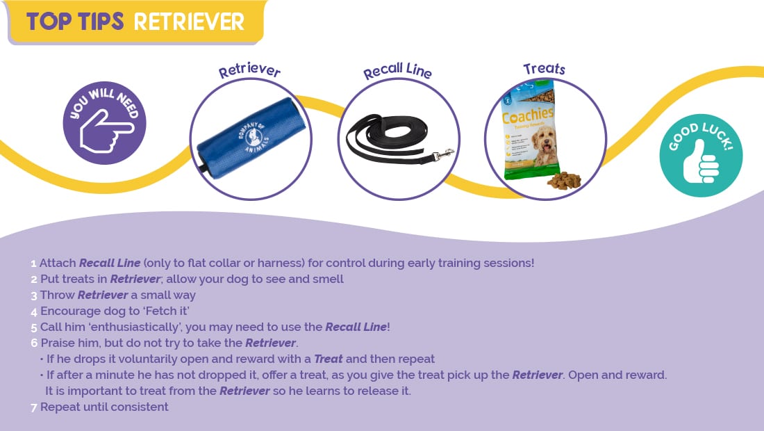 Top tips on using the Company of Animals Retriever.