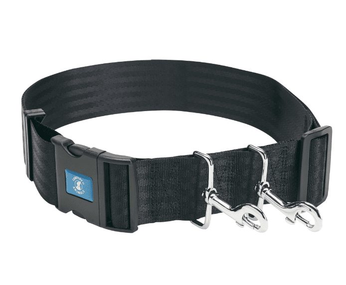 Company of Animals Hands Free
