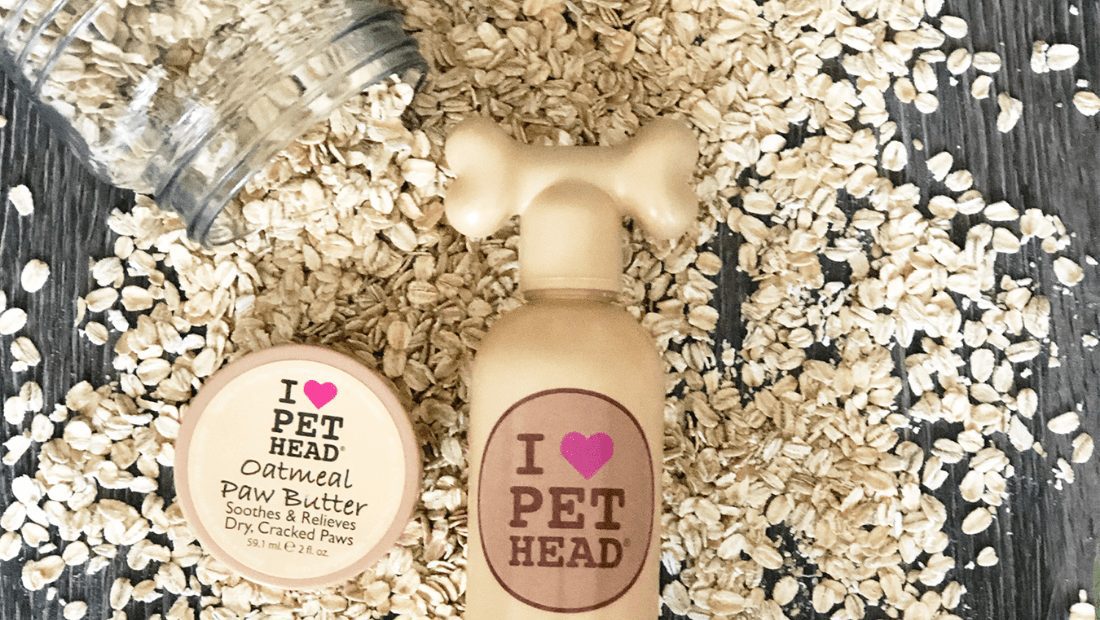 Pet Head Oatmeal Shampoo and Oatmeal Paw Butter