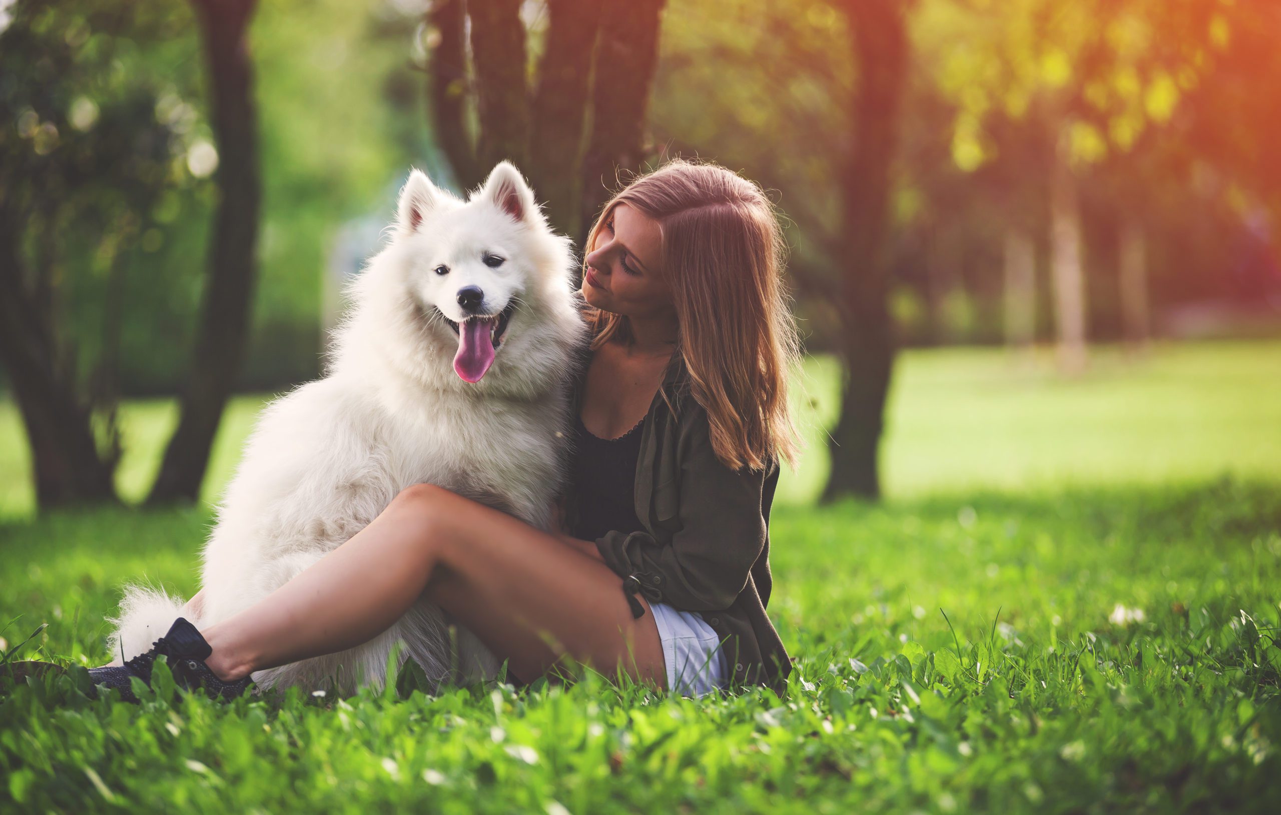 how do dogs show love