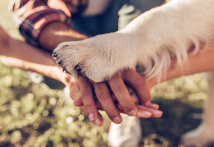 humans and dog 