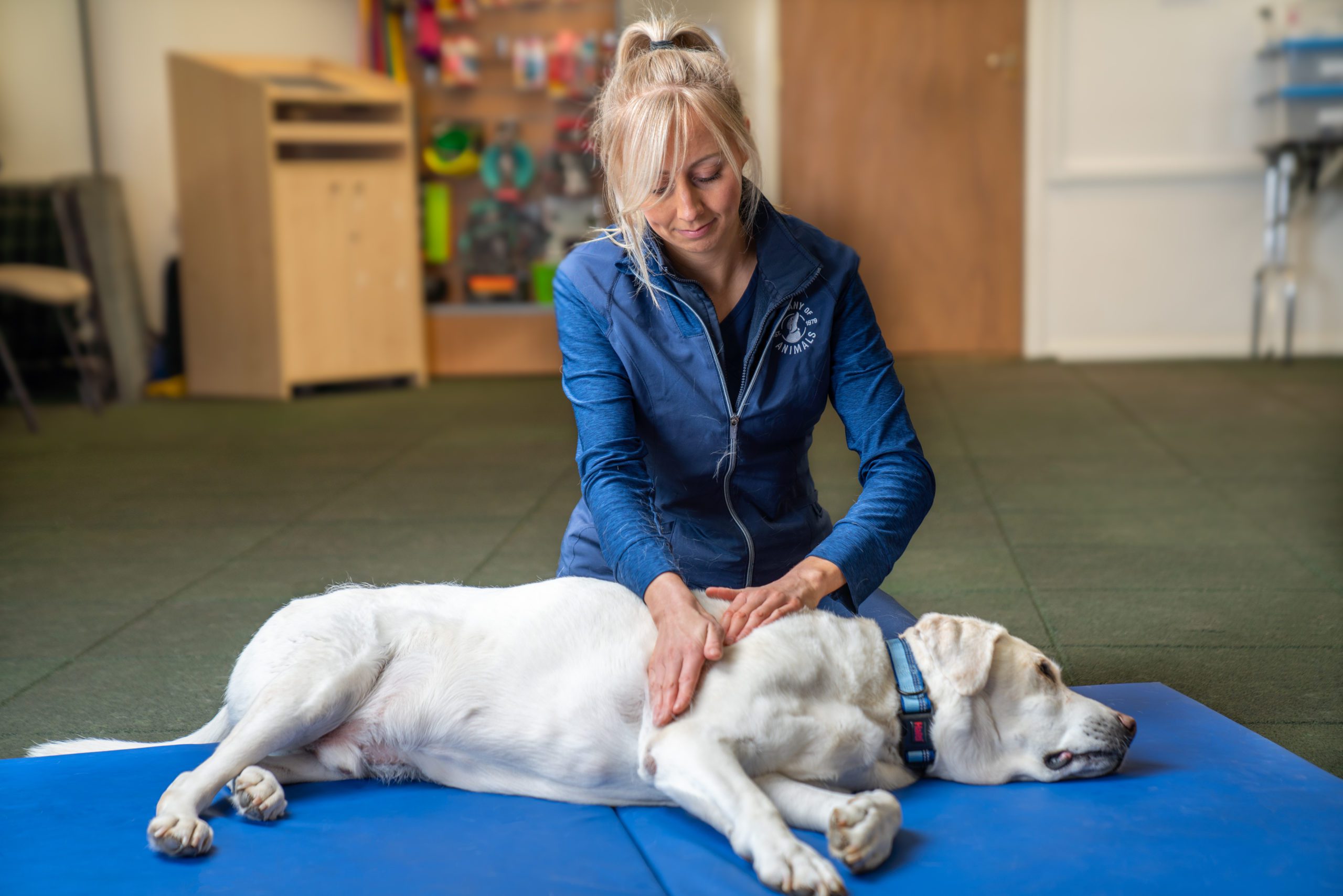 Massage Therapy