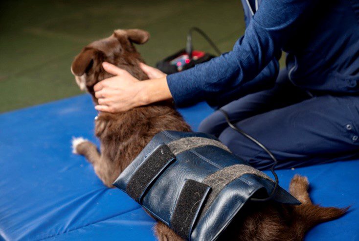 Pulse Electromagnetic Field Therapy