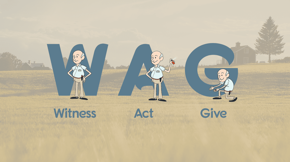 Witness behaviour, Act with Pet Corrector and Give Treat (WAG)