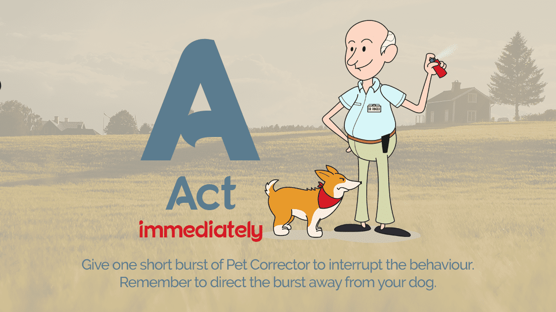 Act immediately with pet corrector