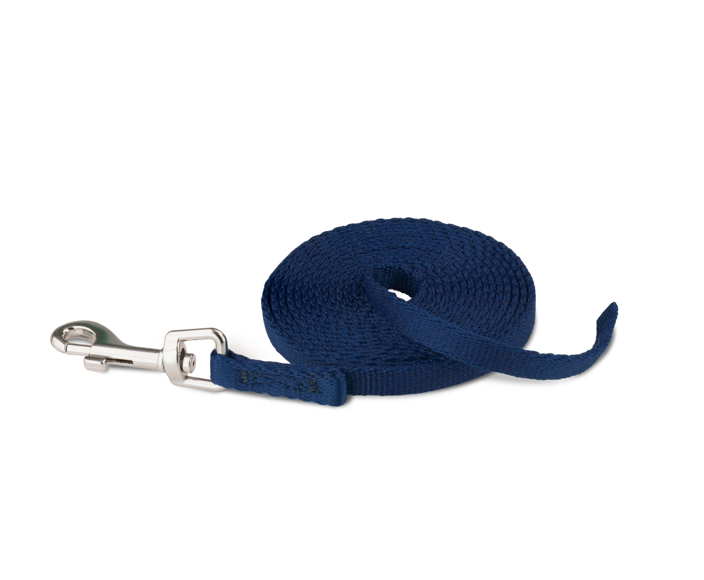 puppy training lead