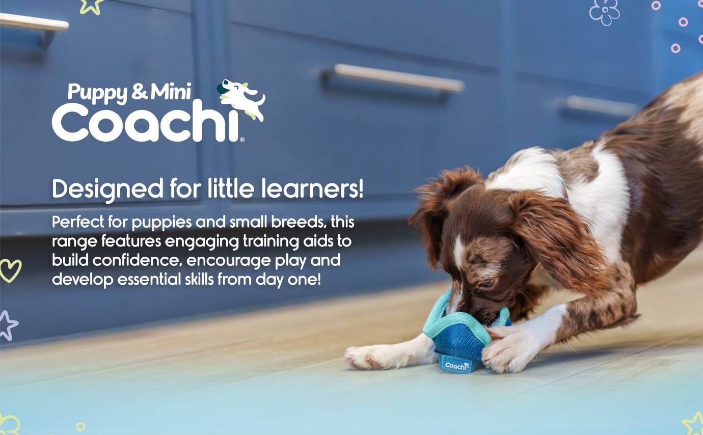 Puppy using a Coachi Puppy & Mini training toy designed for small breeds to build confidence, encourage play, and develop early learning skills.