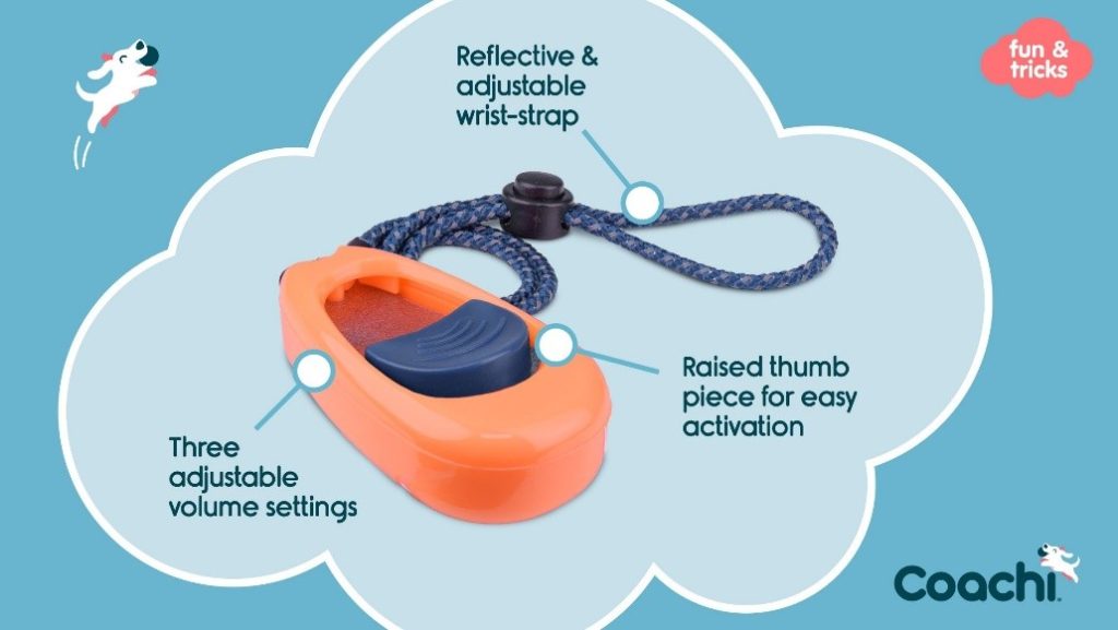 Coachi dog training clicker with adjustable volume settings, reflective wrist strap, and raised thumb piece for easy activation.