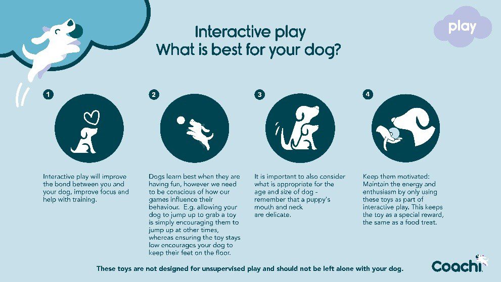 Interactive play tips infographic showing how play strengthens bonding, improves focus, shapes behaviour, considers dog age and size, and maintains motivation.