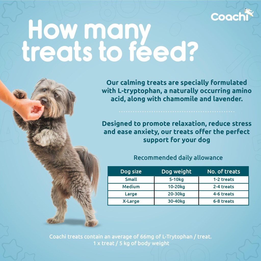 Infographic showing how many calming treats to feed your dog daily based on size and weight, featuring L-tryptophan, chamomile, and lavender benefits.