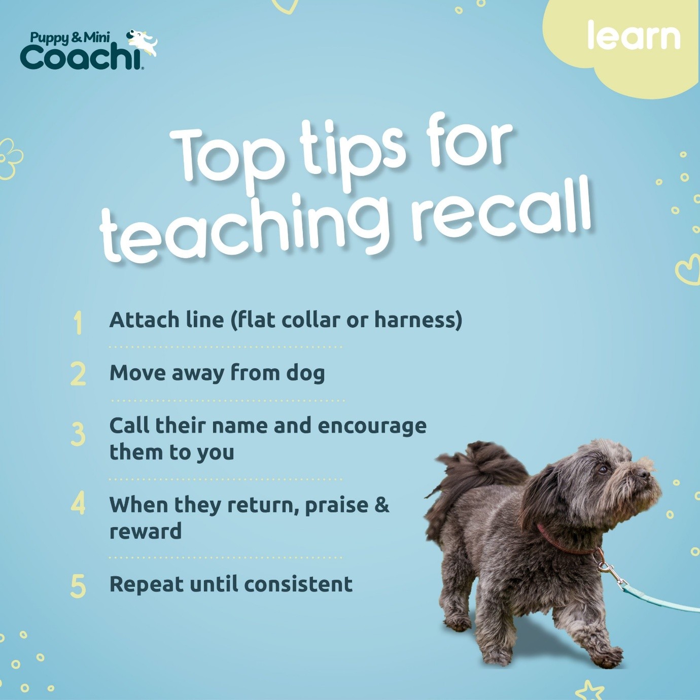 Infographic showing top tips for teaching dog recall using a training line, praise, and reward-based reinforcement.