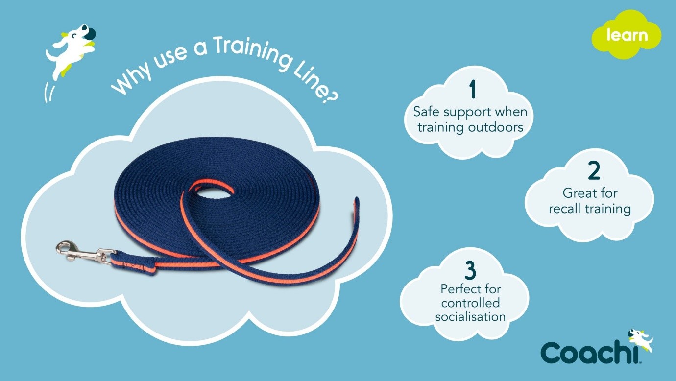 Infographic explaining why to use a dog training line, including outdoor safety, recall training, and controlled socialisation benefits.