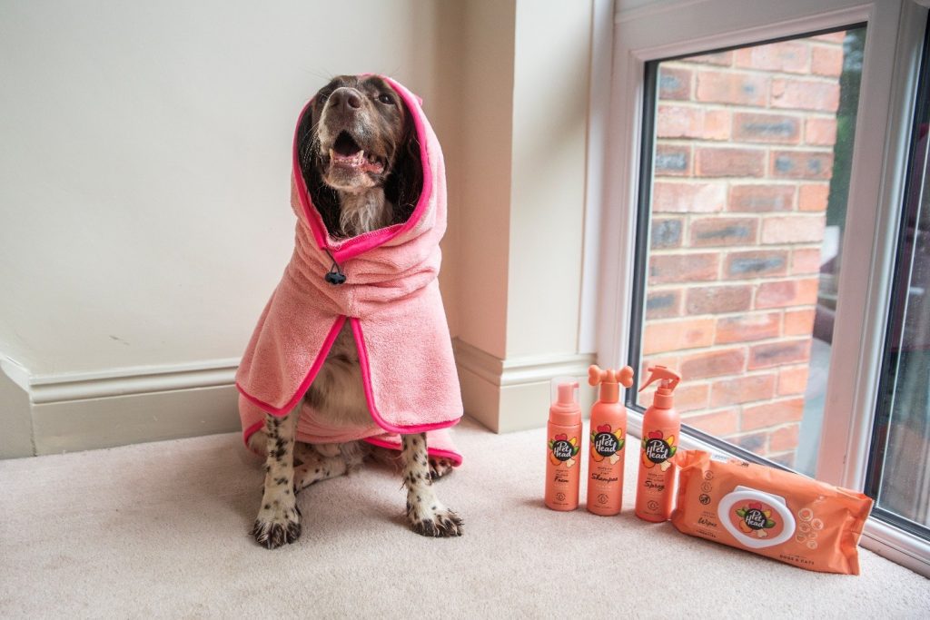 Spaniel wearing a pink drying robe sitting next to Pet Head Sensitive Soul grooming products