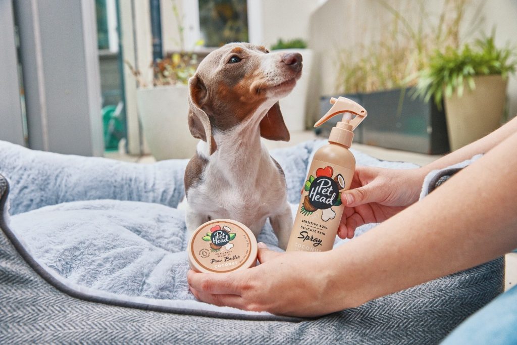 Dachshund puppy sitting with Pet Head Sensitive Soul spray and paw butter