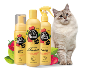White cat sitting next to Pet Head Felin' Good cat grooming range including shampoo, foam, and spray