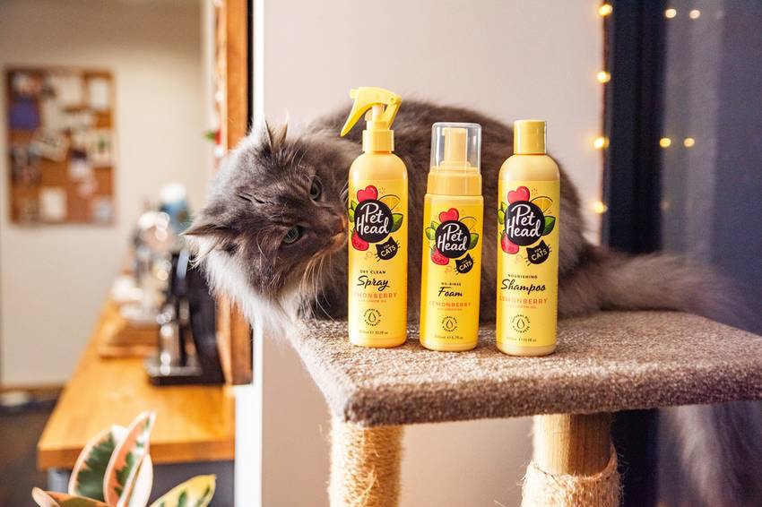 Grey cat sitting on a scratching post with Pet Head Felin' Good shampoo, foam, and spray bottles