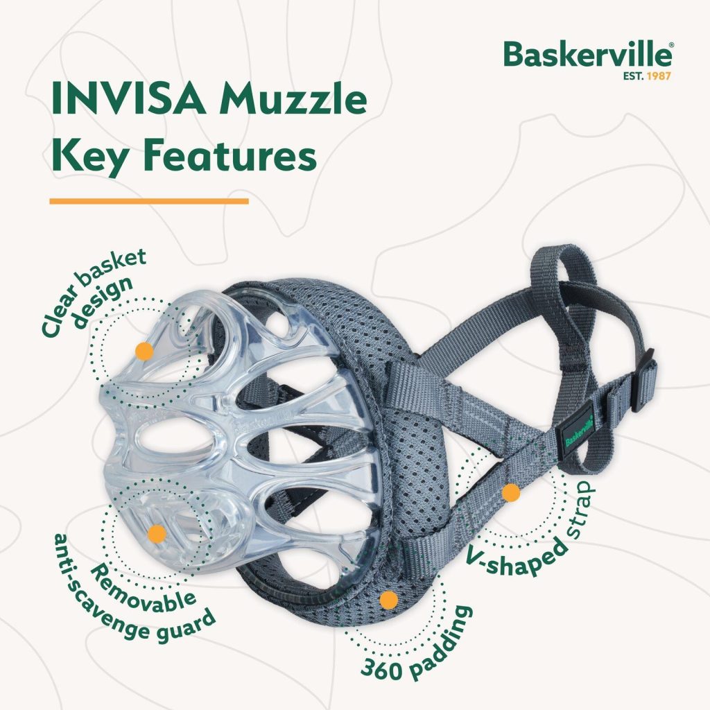 A product infographic for the Baskerville INVISA Muzzle highlighting its key features: a clear basket design for visibility, a removable anti-scavenge guard, 360-degree grey mesh padding for comfort, and a secure V-shaped head strap.