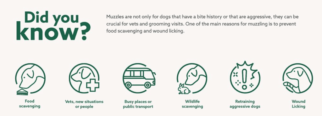 The Complete Guide to Dog Muzzles