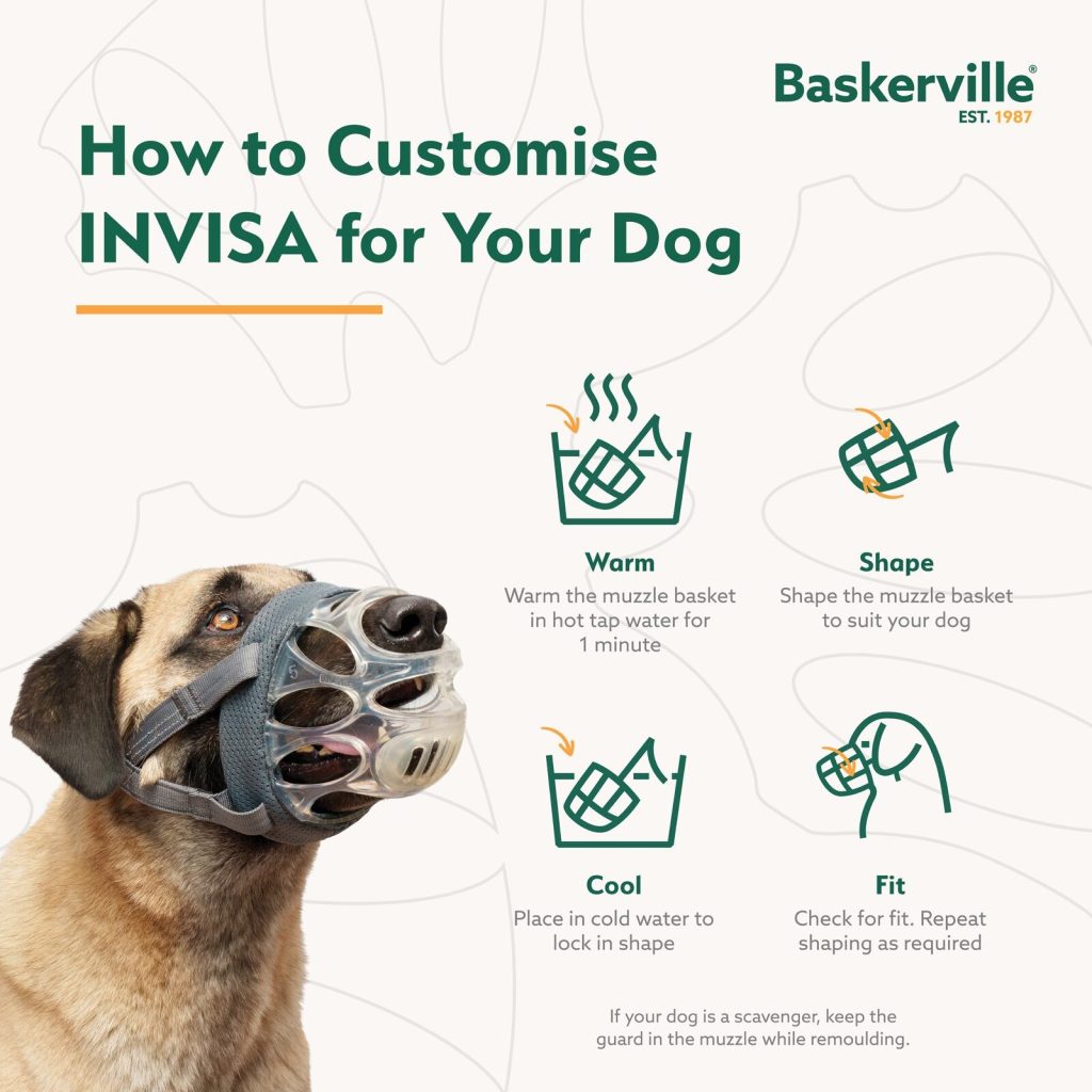 A step-by-step guide on how to customise the Baskerville INVISA muzzle using hot water to reshape the basket, ensuring a tailored and comfortable fit for any dog's unique face shape.