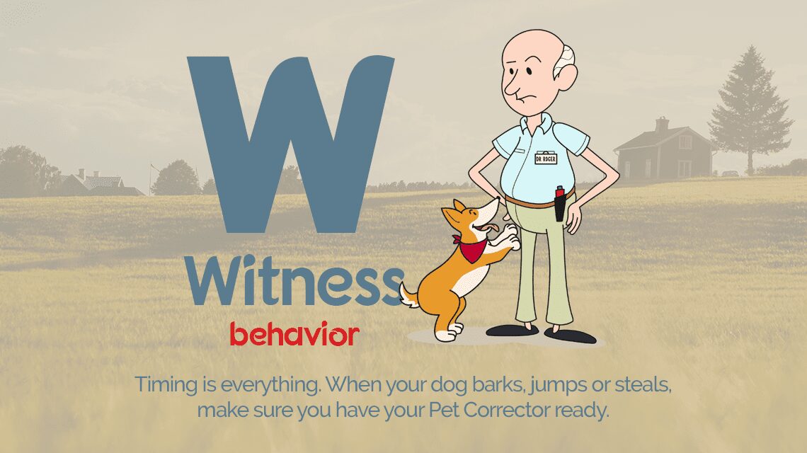 Pet Corrector Witness