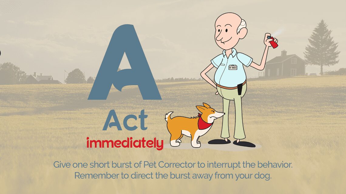 Pet Corrector Act