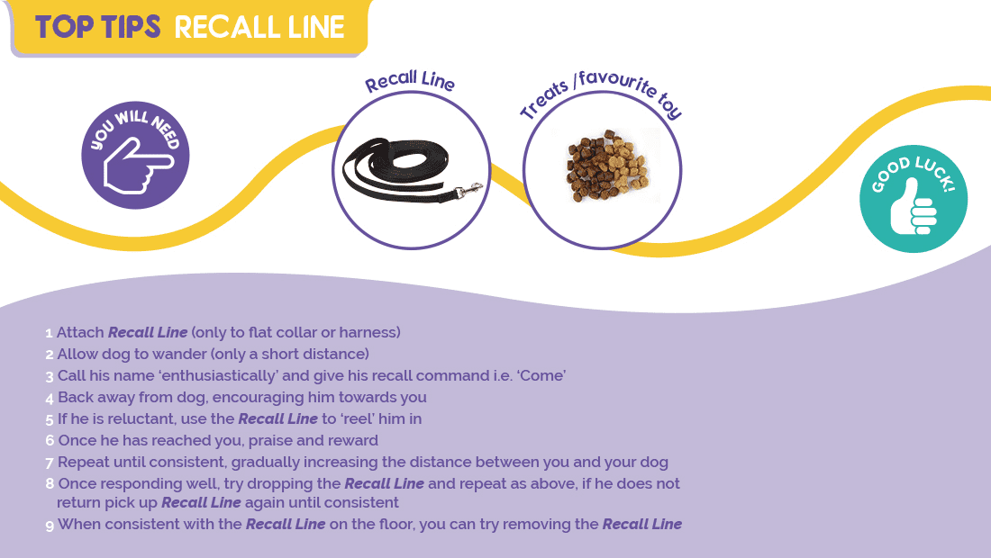 Top tips for using the Company of Animals Recall Line