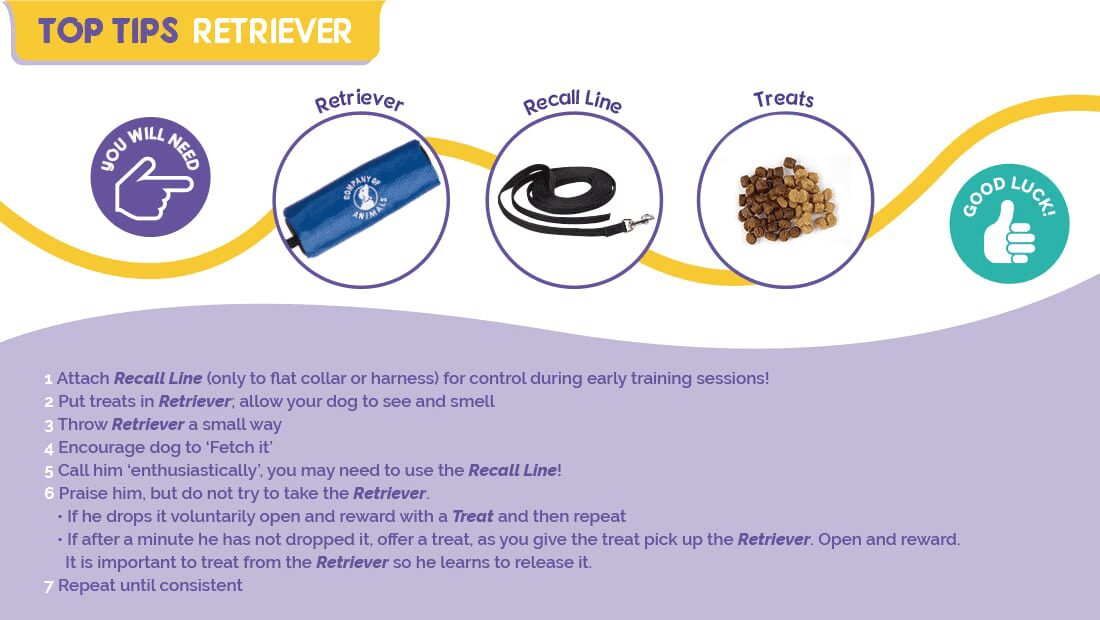Top tips on using the Company of Animals Retriever.