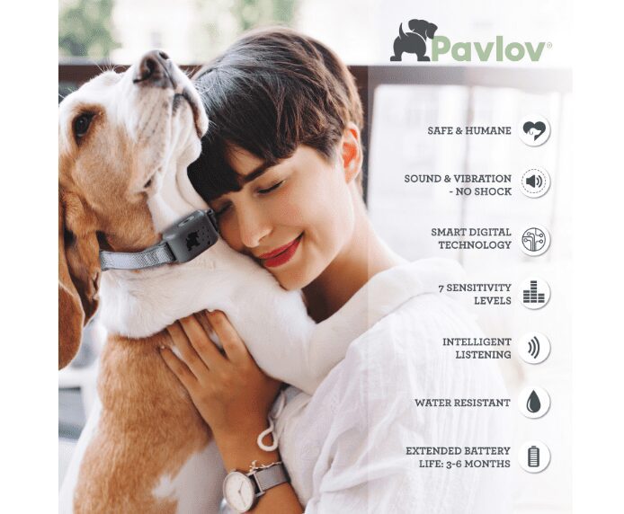 Information bullet points on the Pavlov No Bark Collar