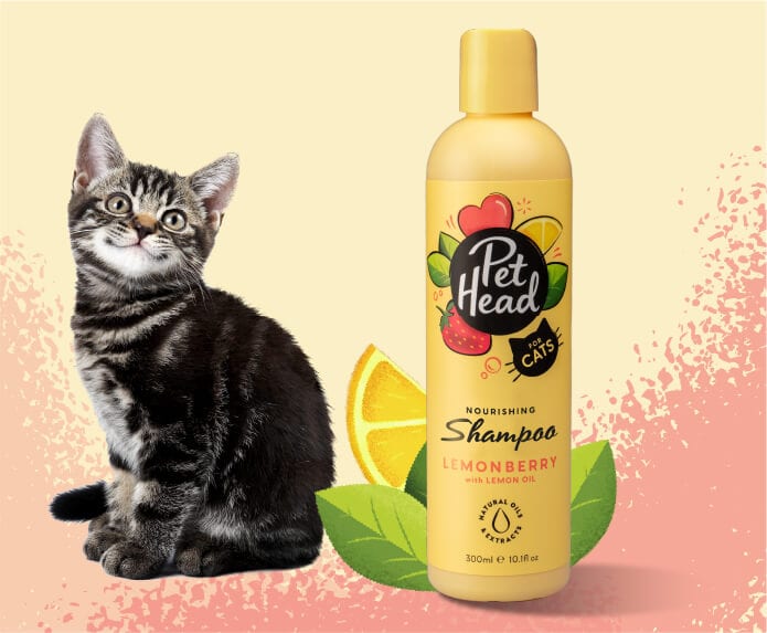 Product shot of the Pet Head Sensitive Soul Shampoo next to a happy dog