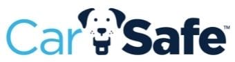 Happy dog secure in car by harness
