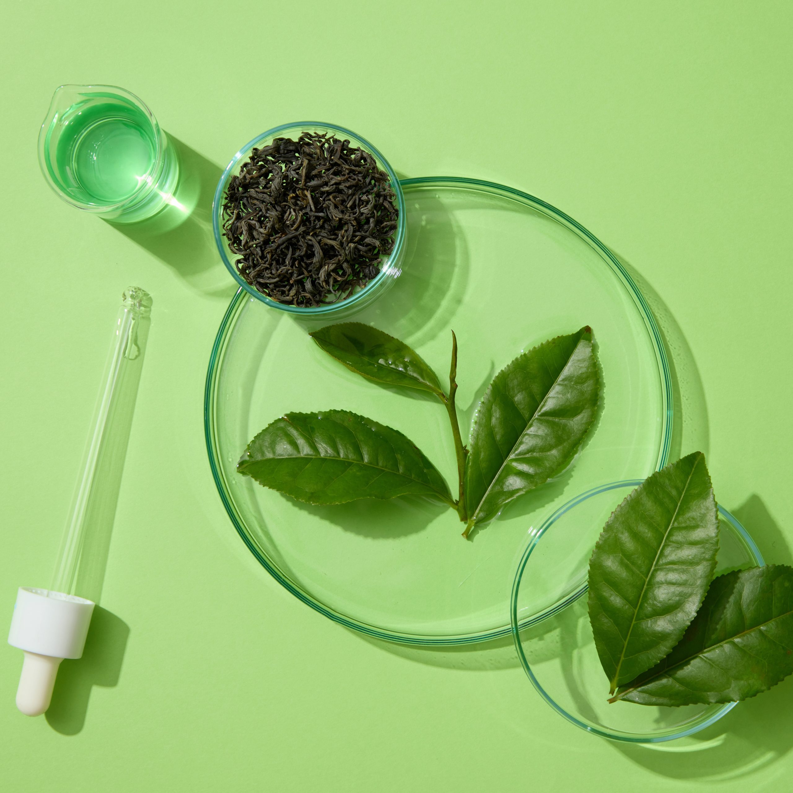 Green Tea Extract