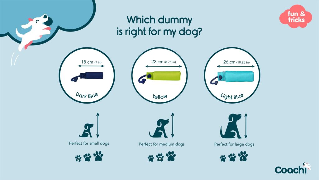 Coachi training dummy size guide showing dark blue 18 cm dummy for small dogs, yellow 22 cm dummy for medium dogs, and light blue 26 cm dummy for large dogs.