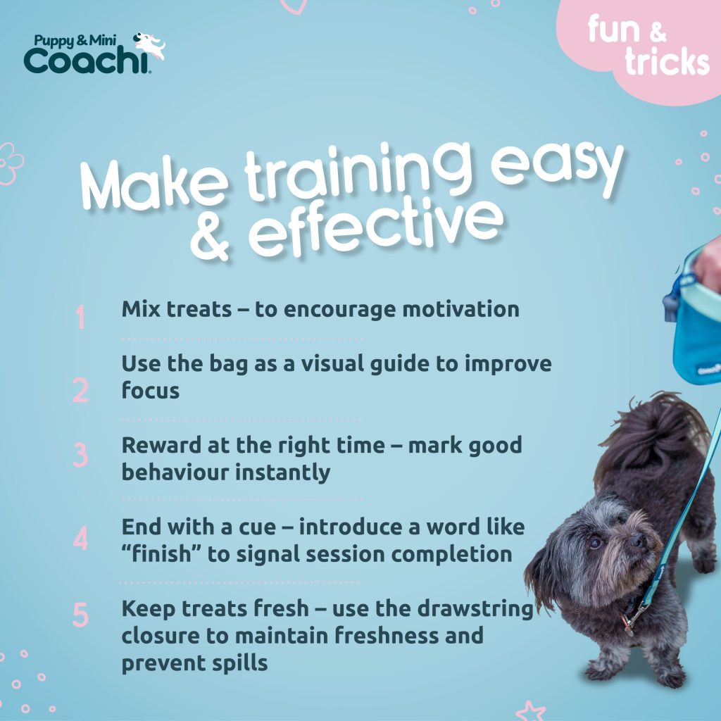 Coachi training infographic showing five tips for effective dog training, including mixing treats, using a treat bag for focus, rewarding instantly, adding a cue, and keeping treats fresh, with a small dog looking up at a treat pouch.