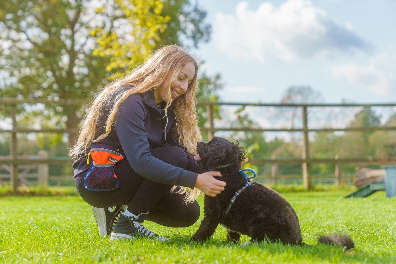 Dog trainer rewarding a seated dog outdoors using a waist-worn Coachi treat pouch during positive reinforcement training.