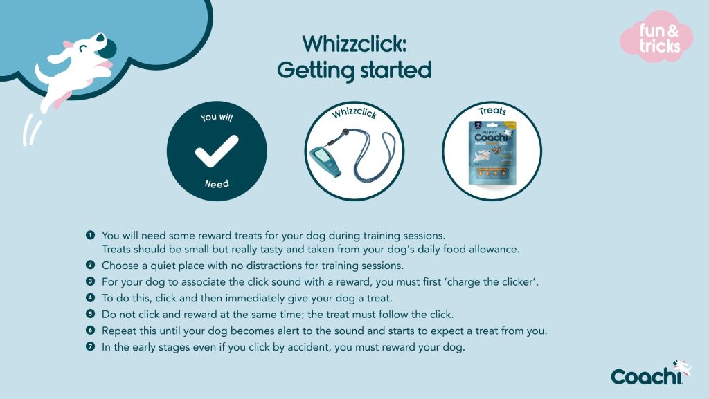 Coachi Whizzclick dog training infographic demonstrating behaviour-teaching steps: encourage behaviour, mark with a click, reward afterwards, and introduce a verbal cue like ‘sit’.