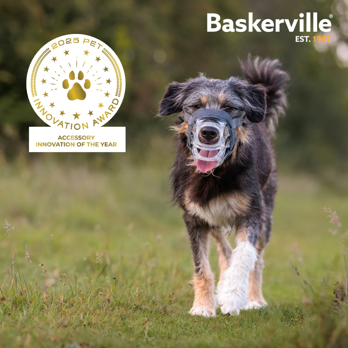 Baskerville invisa muzzle
