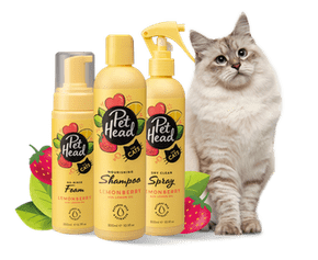 White cat sitting next to Pet Head Felin' Good cat grooming range including shampoo, foam, and spray