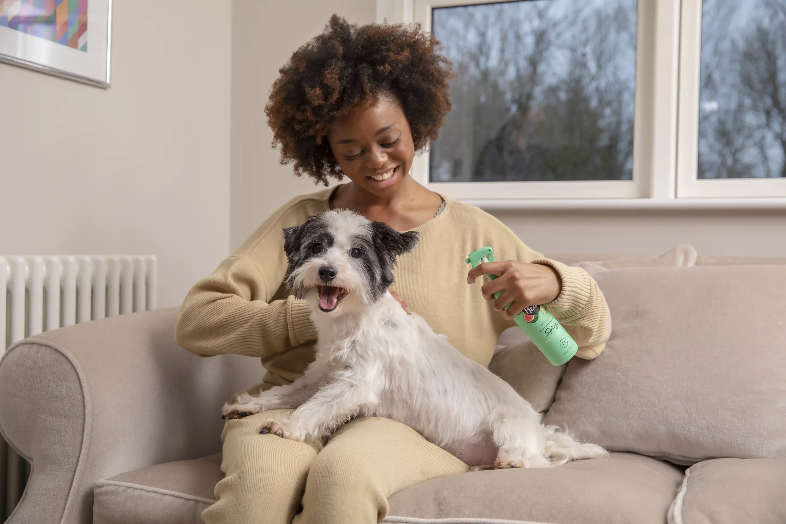 Dog grooming kits