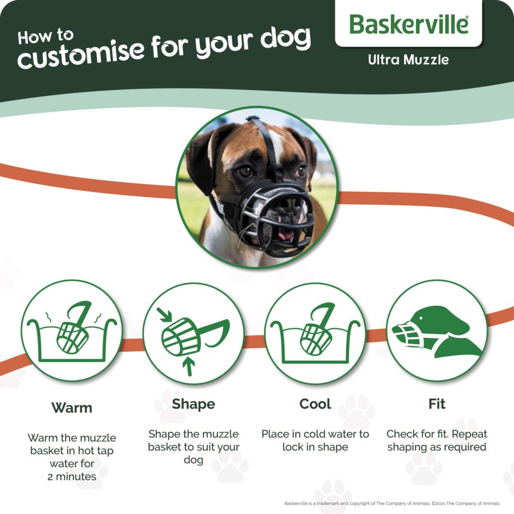 Fitting your dog muzzle